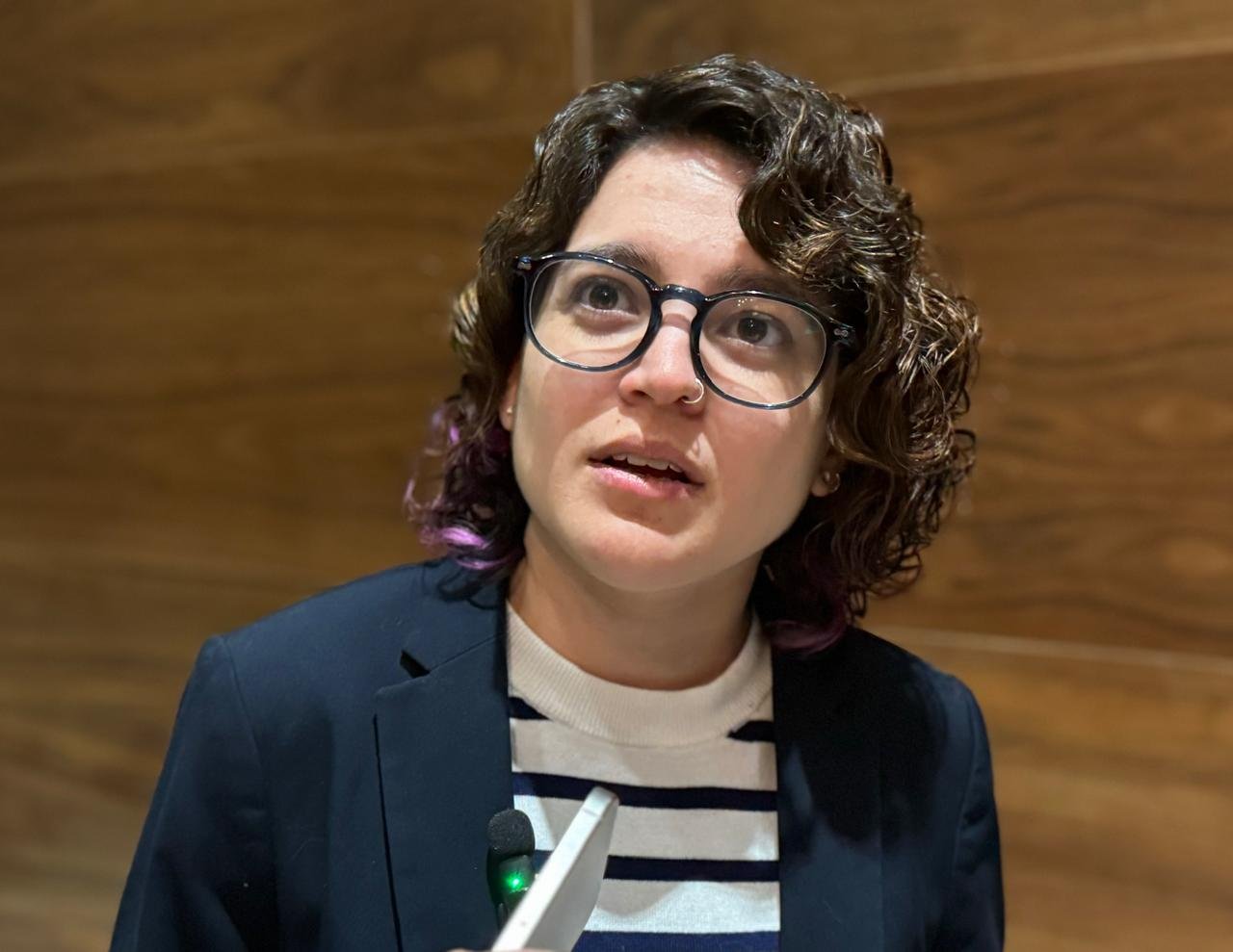 Priscilla explica en sus hallazgos que las tarifas de FEUCR no provienen de fondos públicos.