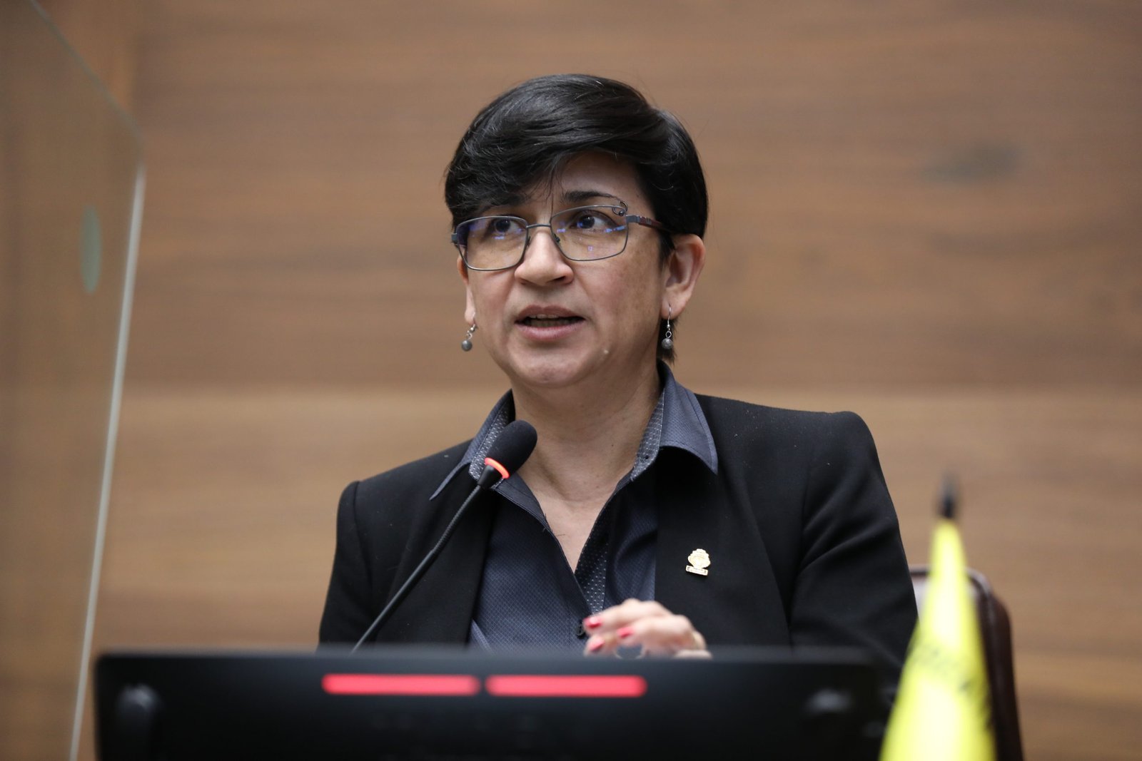 Rocío Alfaro asegura que el gobierno de Chaves tiene la intención de desmantelar los insectos y Japdeva.
