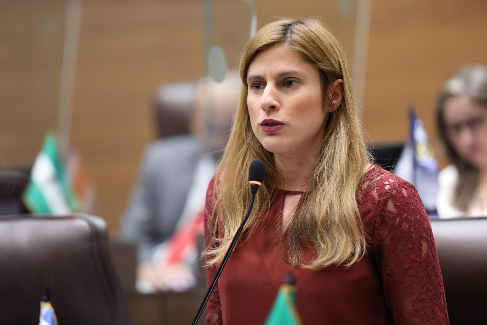 Andrea Álvarez les advierte a los costarricenses que consulten a Rodrigo Chaves sobre la violencia.