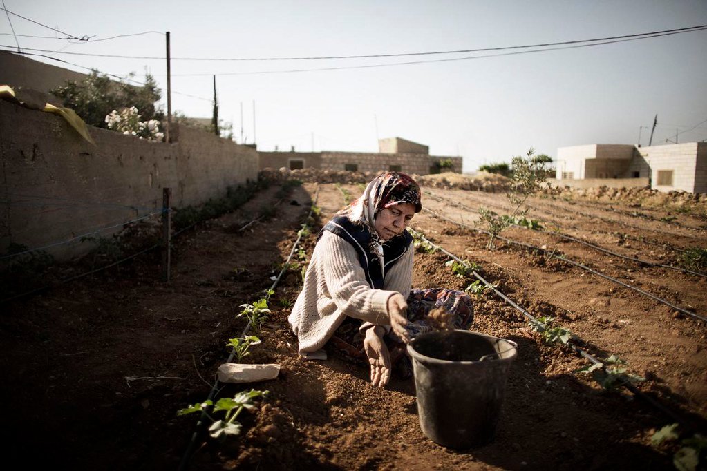 Ante el riesgo de hambruna, la FAO pide acceso inmediato para proteger los medios de vida y la producción de alimentos.