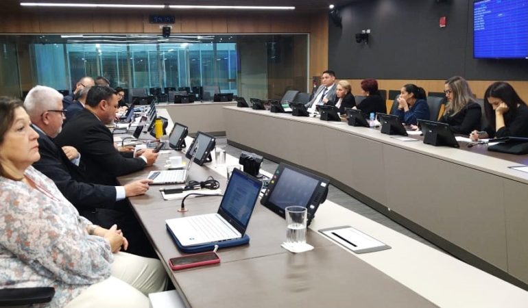 El Comité de Seguridad aprueba penas de prisión por pertenencia o participación en organizaciones criminales
– La nación