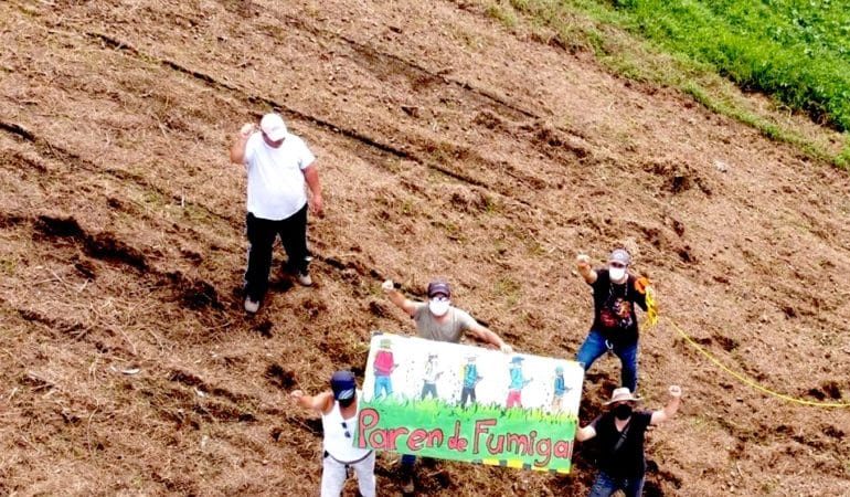 Propón una prepropuesta para gestionar los insecticidas mediante modificaciones en las actividades.