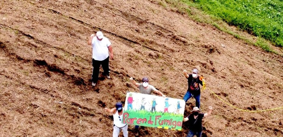 Propón una prepropuesta para gestionar los insecticidas mediante modificaciones en las actividades.