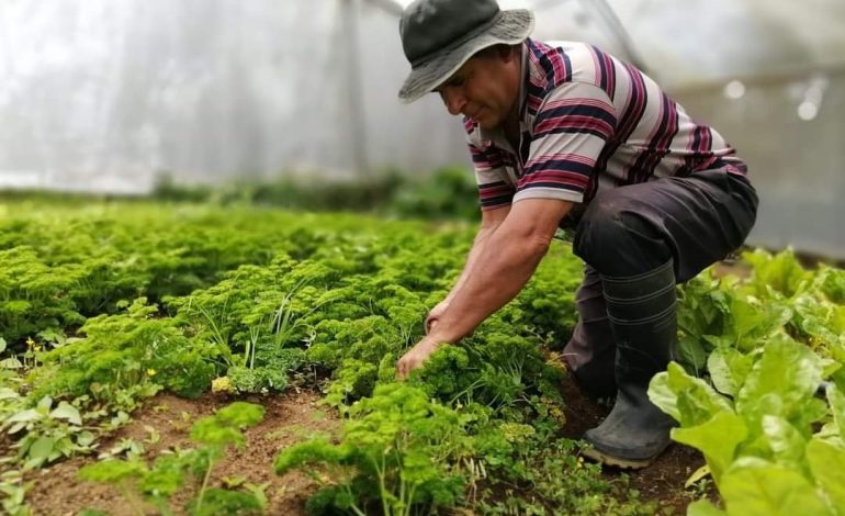 La Alianza Nacional Agrícola exige medidas específicas para el sector en el Día de los Agricultores.