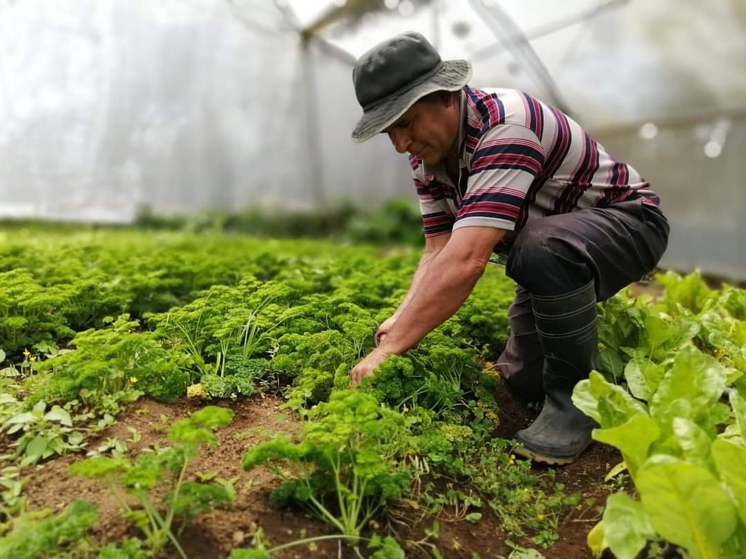 La Alianza Nacional Agrícola exige medidas específicas para el sector en el Día de los Agricultores.