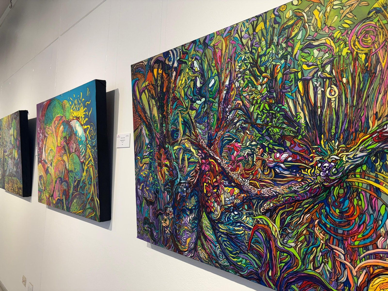 Colores, magia y naturaleza: Greivin Salas comparte su perspectiva al entrelazar raíces.