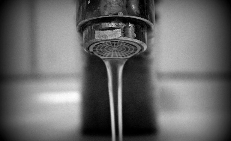 La sala constitucional no reconoce la contaminación por clorotalon en los caritos.