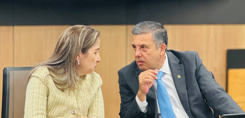 El comandante de PLN no estuvo de acuerdo sobre qué 4-3 proyectos de conferencia tienen un nuevo texto para enviarlo a una comisión especial.

 – La nación