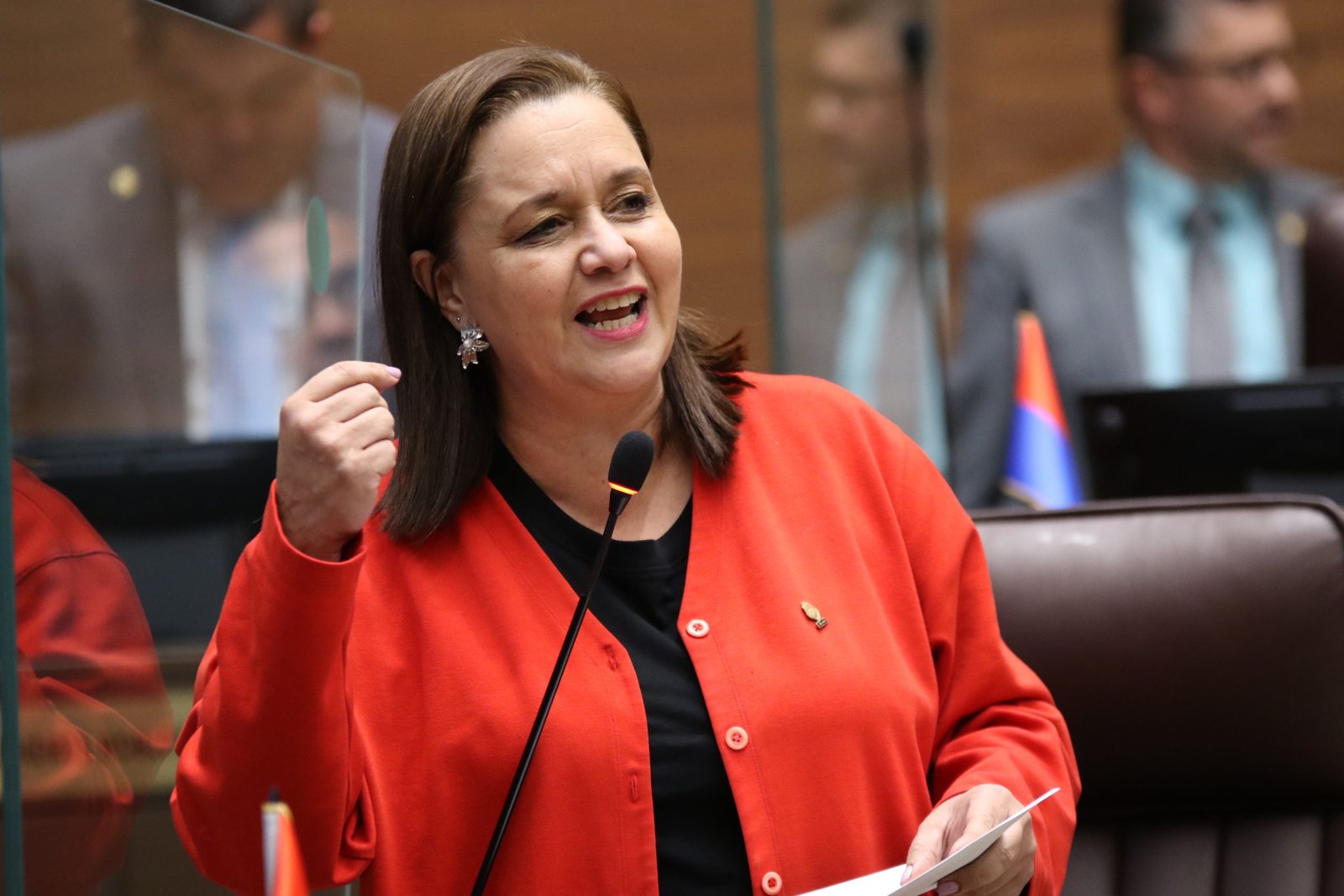 El 21.3% de los jóvenes costarricenses no estudian ni trabajan, se queja Vanessa Castro

 – La nación