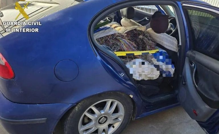 Un conductor fue arrestado porque sobrecargó su asiento León con 700 kg. El tráfico fue el más mínimo de sus problemas
– La nación