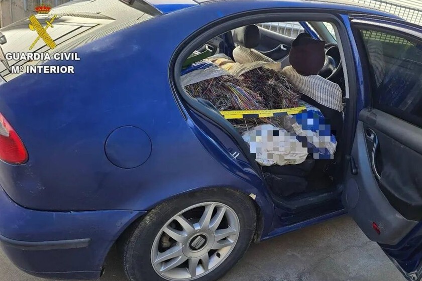Un conductor fue arrestado porque sobrecargó su asiento León con 700 kg. El tráfico fue el más mínimo de sus problemas

 – La nación