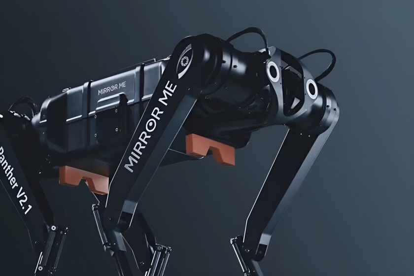 Una empresa china acaba de presentar a un amigo de cuatro deseos para cuestionar los límites. Boston Dynamics ya no tiene una forma clara

 – La nación