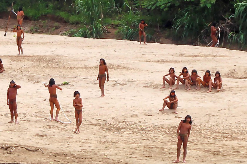 No es el caso que talamos demasiados árboles, es el caso que la mayor tribu sin puerto del mundo del mundo ya no está a punto de estar

 – La nación