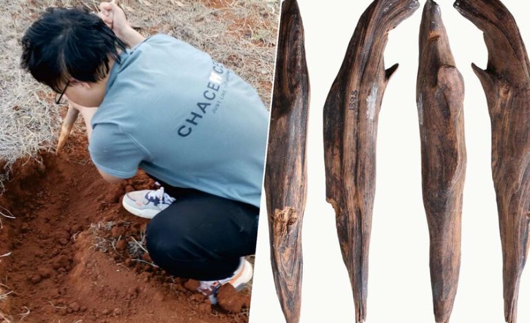 Encontramos herramientas hace 300,000 años. Y pusieron piernas en lo que creíamos en la paleodieta
– La nación