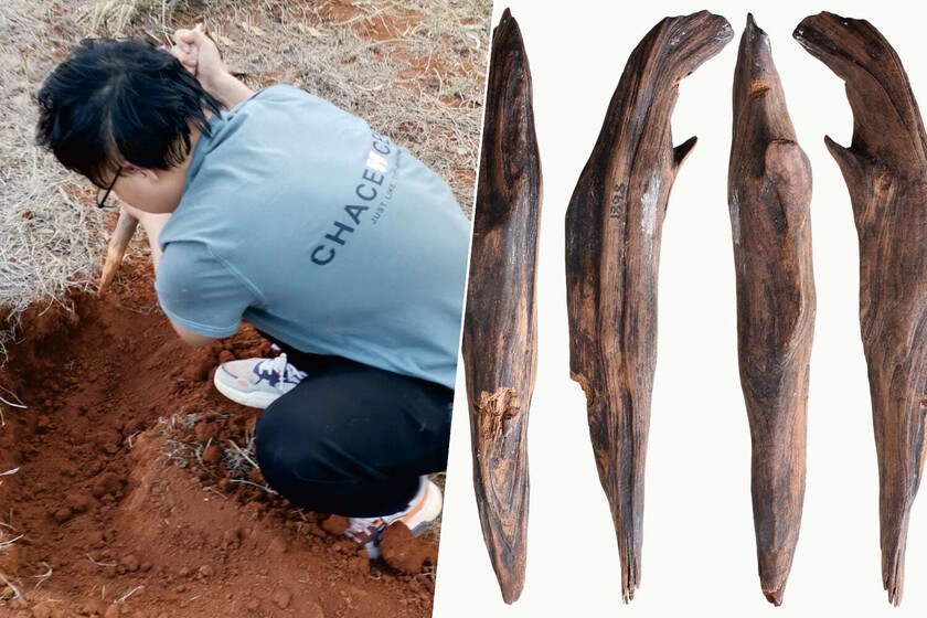 Encontramos herramientas hace 300,000 años. Y pusieron piernas en lo que creíamos en la paleodieta

 – La nación