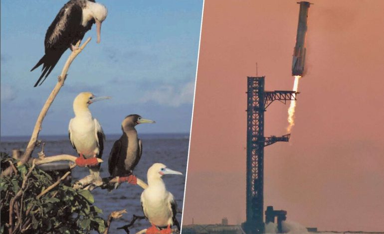 Estados Unidos y SpaceX querían revolucionar la entrega de armas en todo el mundo. Un pájaro tropical tenía otros planes
– La nación