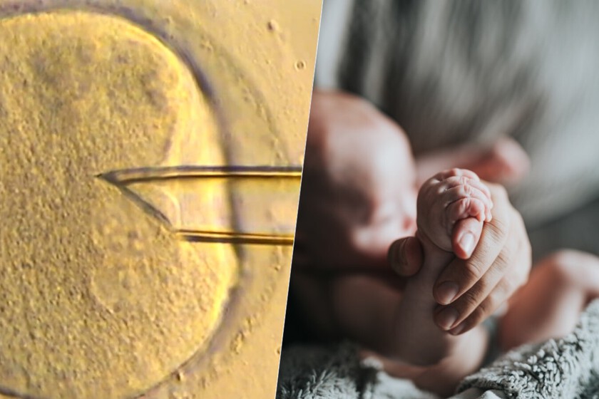 La fertilización “en vitro” ha emprendido un paso sorprendente utilizando ADN mitocondrial

 – La nación