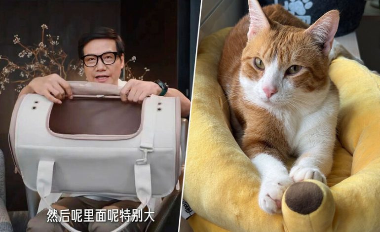 El CEO de Xiaomi salió en un video que muestra un nuevo producto y se agotó en minutos. Era un usuario de gato
– La nación