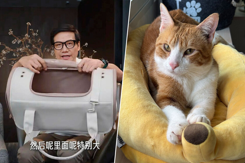 El CEO de Xiaomi salió en un video que muestra un nuevo producto y se agotó en minutos. Era un usuario de gato

 – La nación
