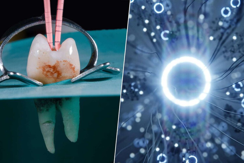 Crece y puede “cortar” el cerebro

 – La nación