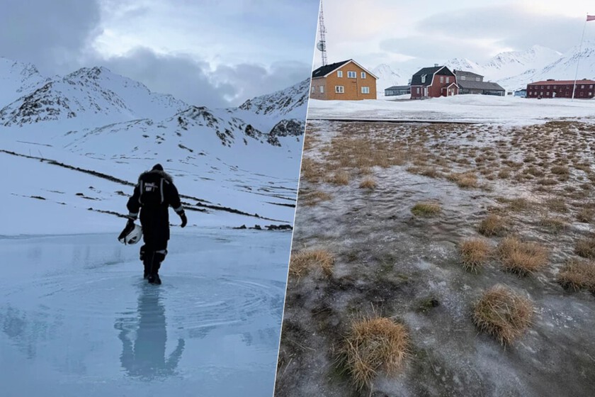 Este año, algo extraño sucede en el archipiélago de Svalbard

 – La nación