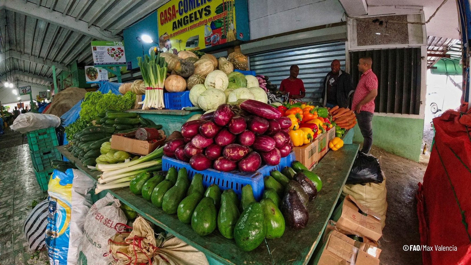 El hambre despega en el mundo pero está aumentando en África y Asia occidental: Informe de la ONU

 – La nación