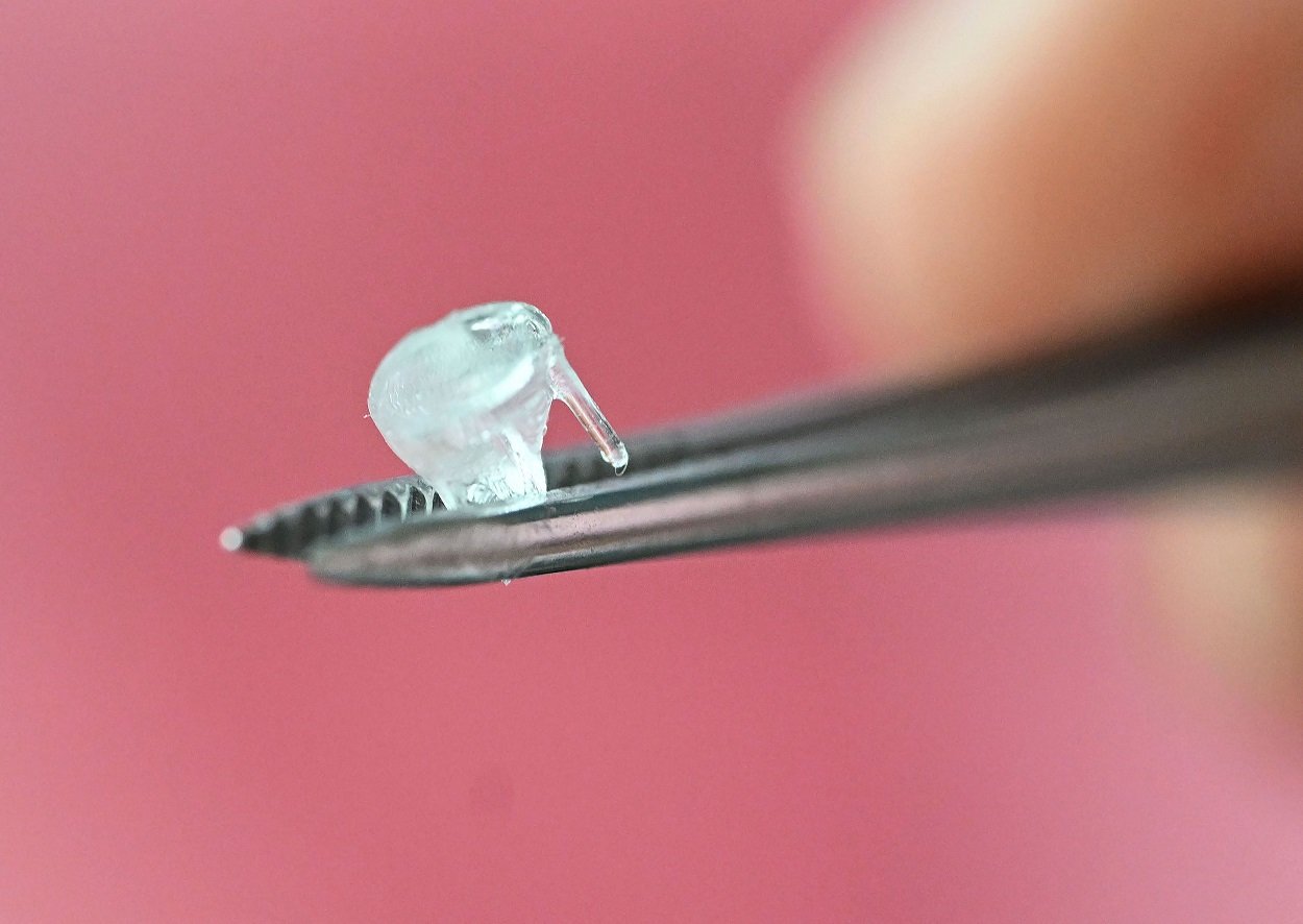 Bioimpresión, la técnica 3D que cambia de medicina en Alemania

 – La nación