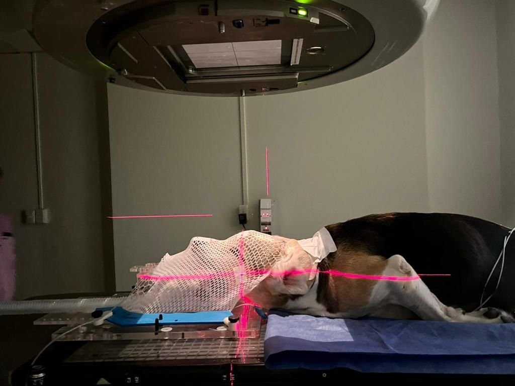 Costa Rica, primer país de la región centroamericana que aplicará la radioterapia para tratar el cáncer de mascotas

 – La nacion