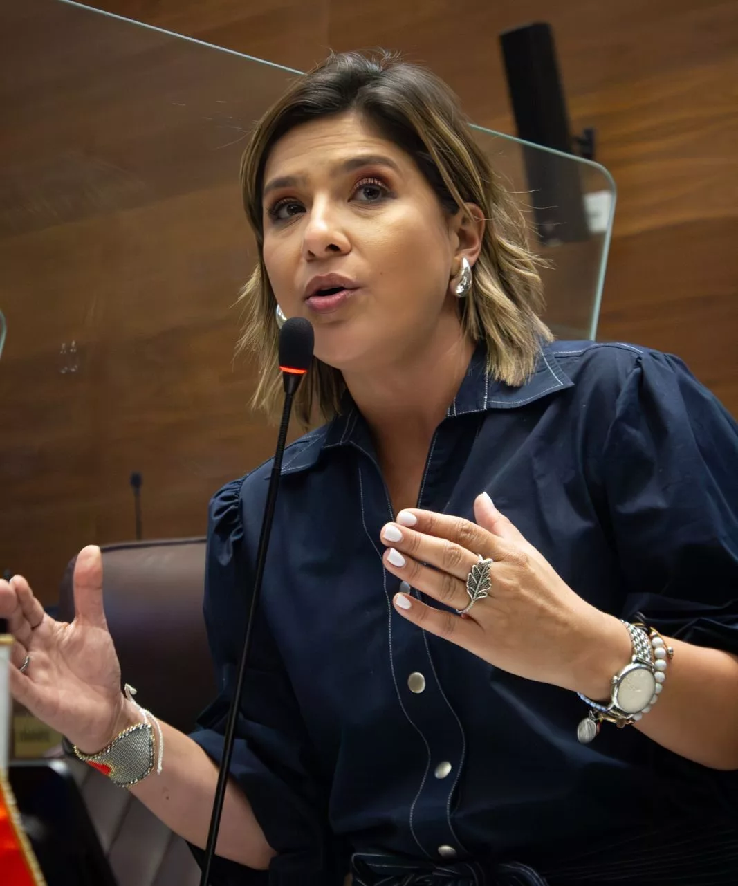 Daniela Rojas: La negación de la opción de la conferencia 4 × 3 para aquellos que la necesitan es profundamente injusto

 – La nación
