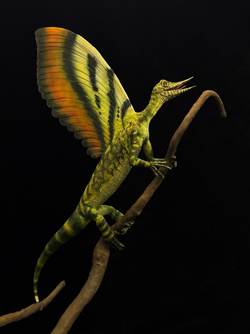 Descubren un peine de reptiles prehistórico inusual expuesto en el museo alemán

 – La nación
