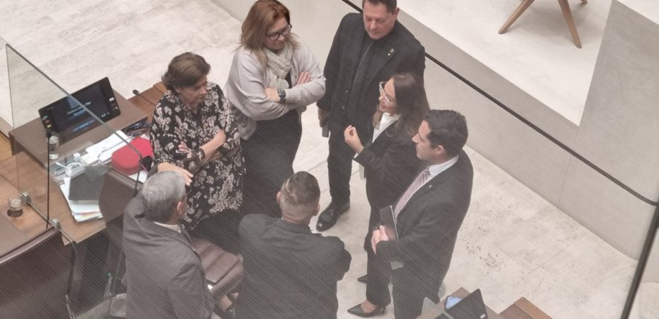 ¿Participarán los alternativos oficiales en la campaña electoral de Sovereign Pueblo?

 – La nación