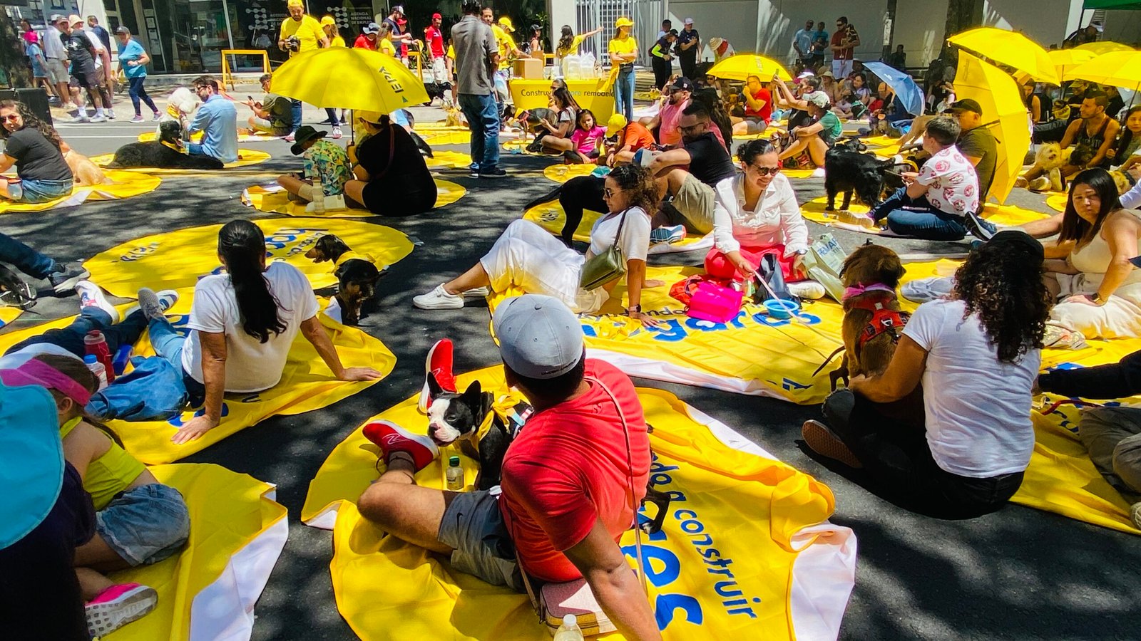 El concierto de mascota llega por primera vez a Carthage

 – La nacion