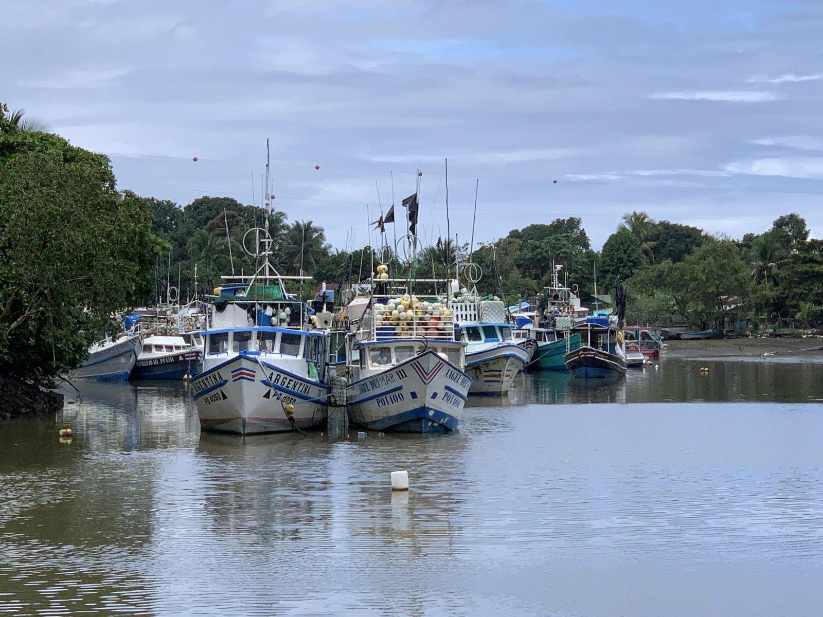 Costa Rica Premio Cuota de atún completa para promover el desarrollo en Polarenas

 – La nación