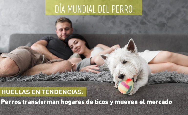 Los perros transforman las casas nacionales y mueven el mercado
– La nacion