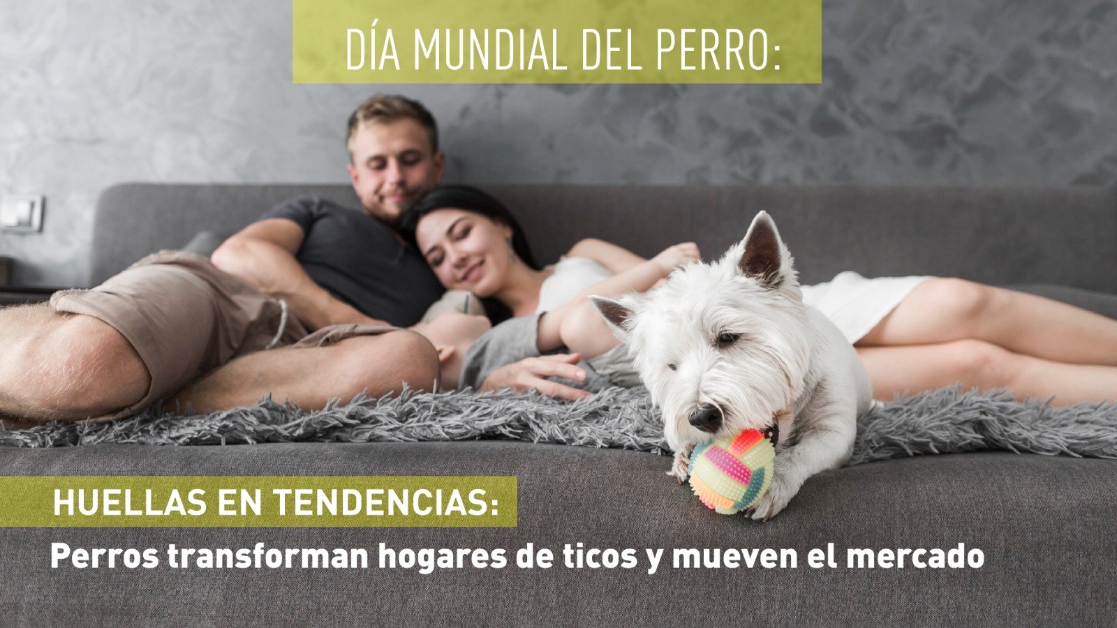 Los perros transforman las casas nacionales y mueven el mercado

 – La nacion