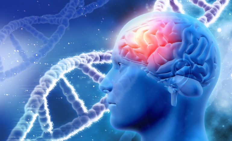 Mayo Clinic Tool Identifique 9 tipos de demencia con solo una prueba de imagen
– La nacion
