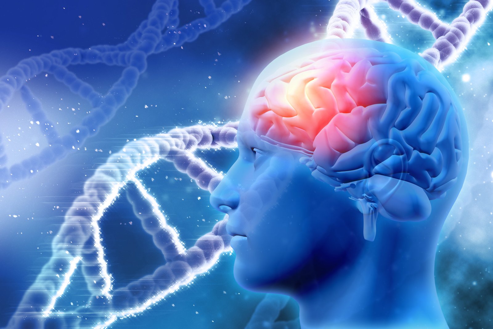 Mayo Clinic Tool Identifique 9 tipos de demencia con solo una prueba de imagen

 – La nacion