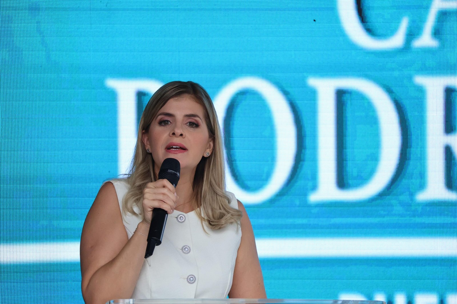 Laura Fernández fue la única que ofreció su candidatura para la gente soberana

 – La nación