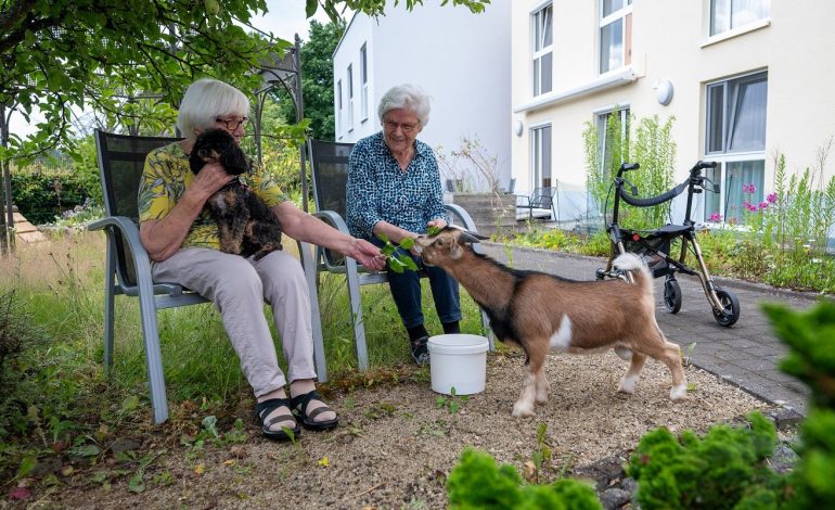Los animales generan felicidad en los hogares de ancianos en Alemania
– La nacion