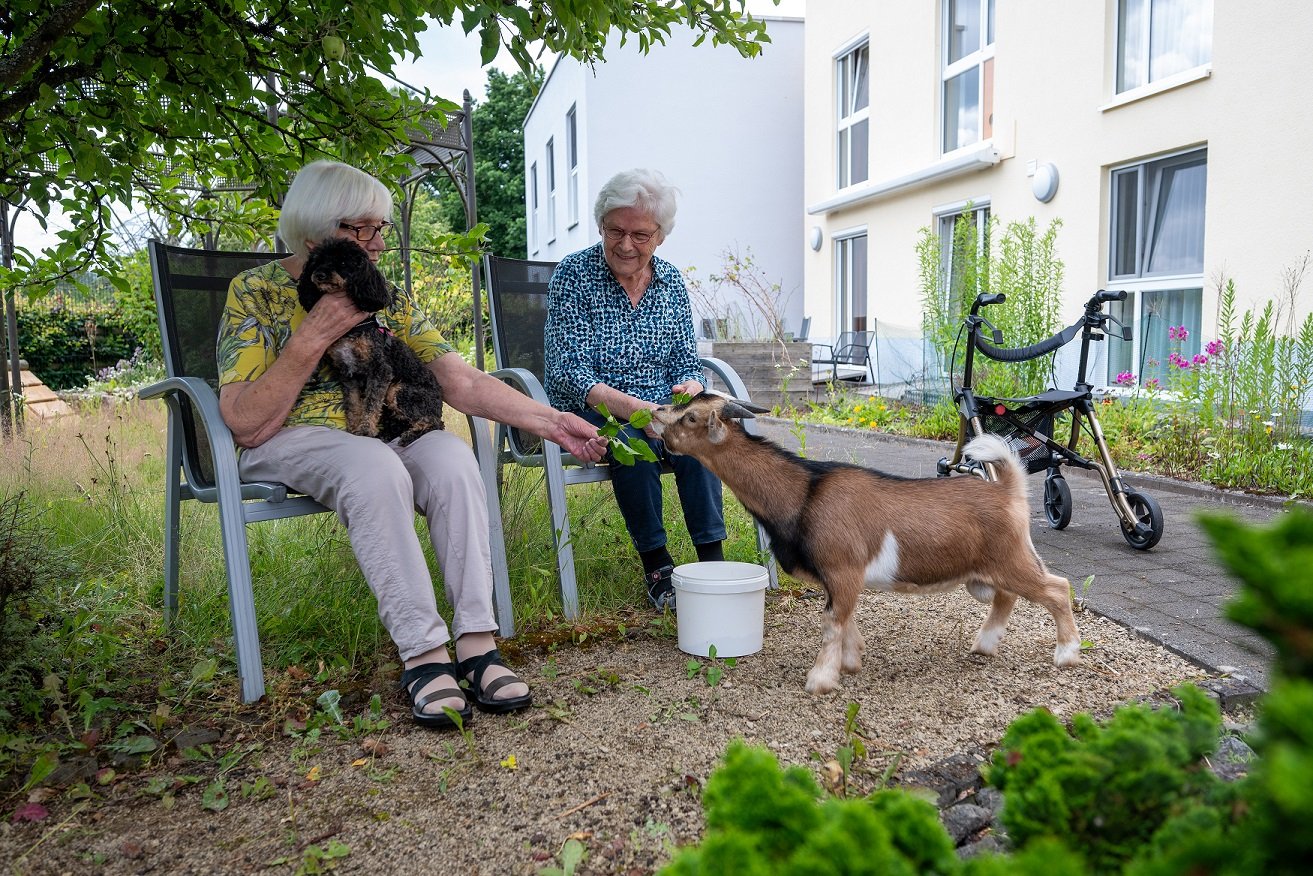 Los animales generan felicidad en los hogares de ancianos en Alemania

 – La nacion