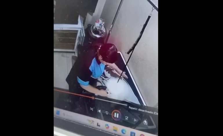 Condenan a una agresión cruel contra el cachorro durante el cuidado en San José
– La nación