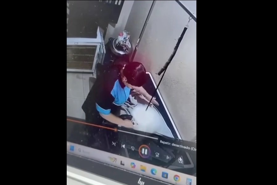 Condenan a una agresión cruel contra el cachorro durante el cuidado en San José

 – La nación