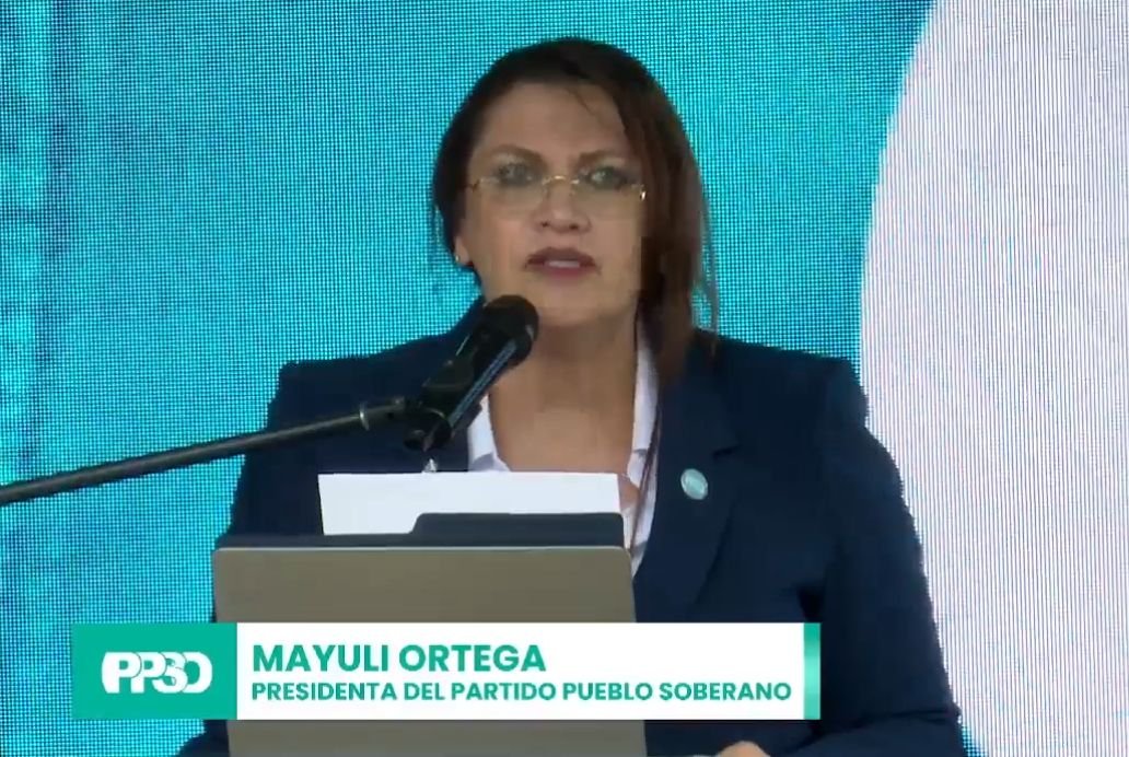 Gente soberana en medio de una distancia democrática: intentaron obtener un beneficio individual

 – La nación