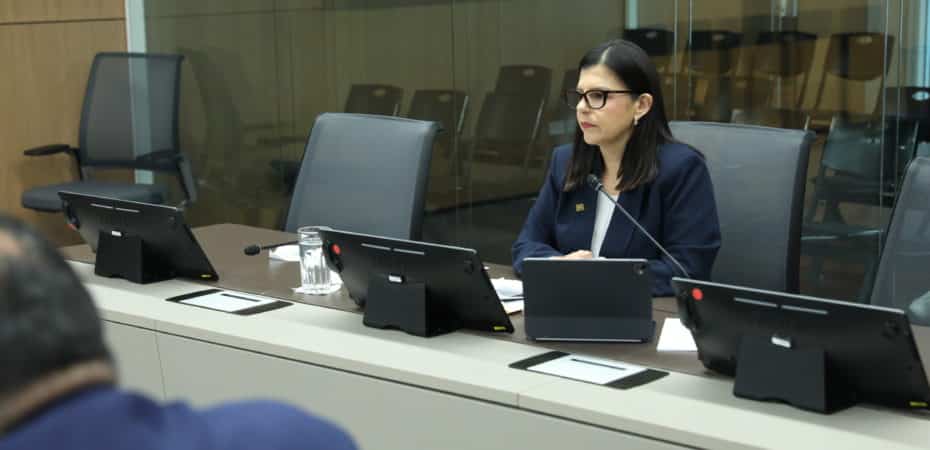 El presidente inspermenta a la suspensión de la orden

 – La nación