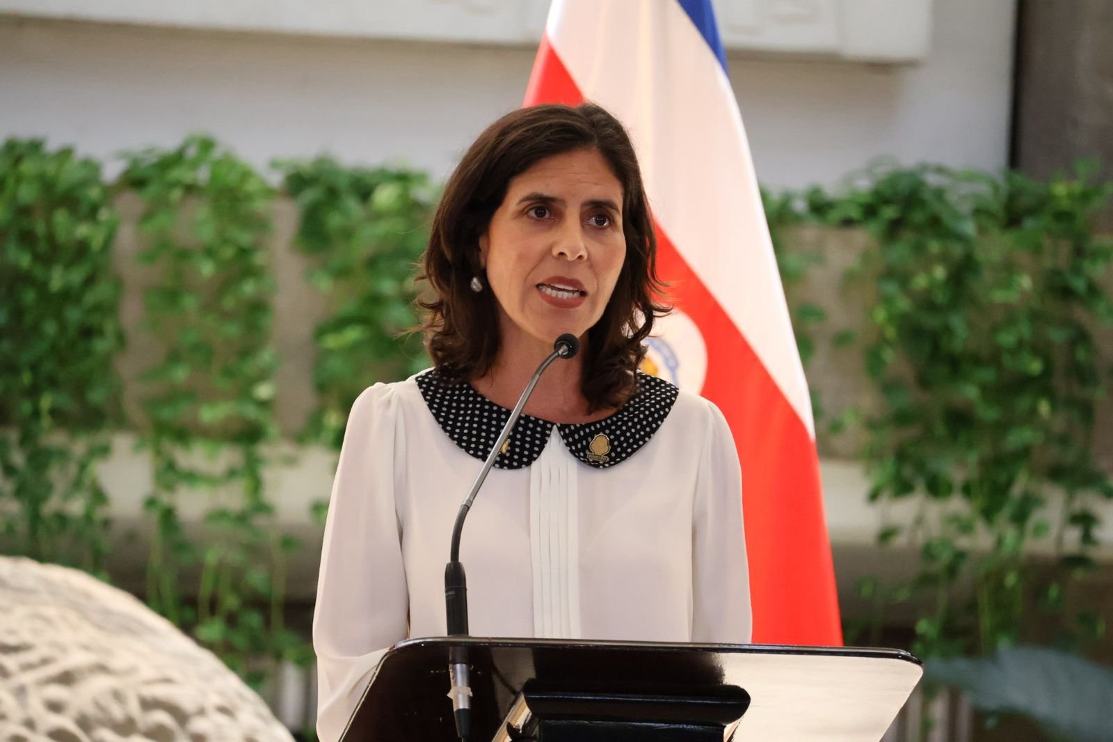 El ministro confirma que el gobierno está analizando qué funcionarios se convertirán en candidatos para los delegados.

 – La nación