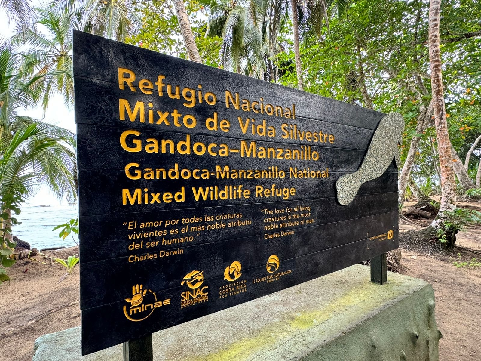La habitación IV declara una gestión inconstitucional de Gandoca-Manzanillo y canceló

 – La nación
