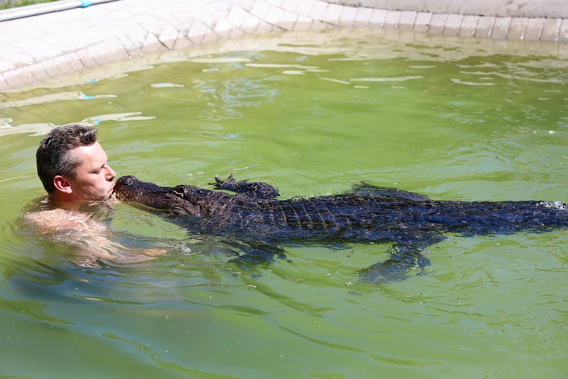 Una familia alemana ha vivido en un caiman durante 43 años

 – La nación