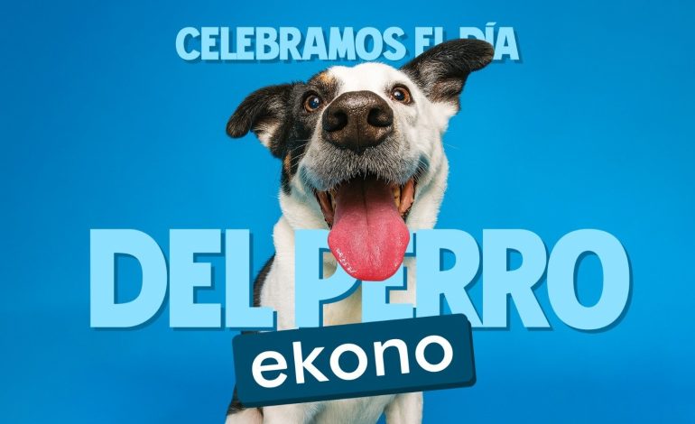 Econo estaba lleno de actividades y promociones para el día del perro este fin de semana
– La nacion
