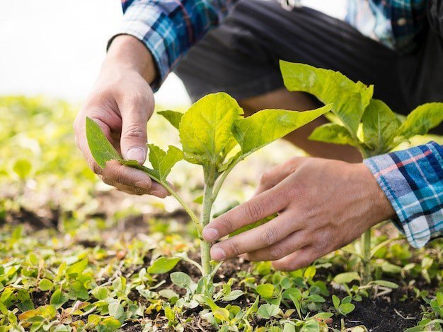 Costa Rica promueve el proyecto local de Bioinsumos para la agricultura sostenible

 – La nación