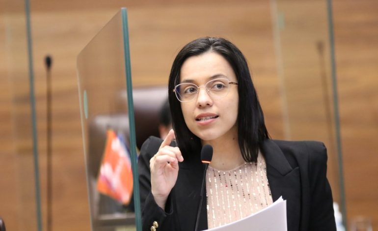 El Tratado Pusc-Pilar Cisneros está tratando de desarmar el hielo, condena Sofía Guillén

 – La nación